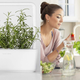 Click & Grow Mini Smart Garden | $90 | Huckberry
Click & Grow Smart Garden | $180 | Huckberry